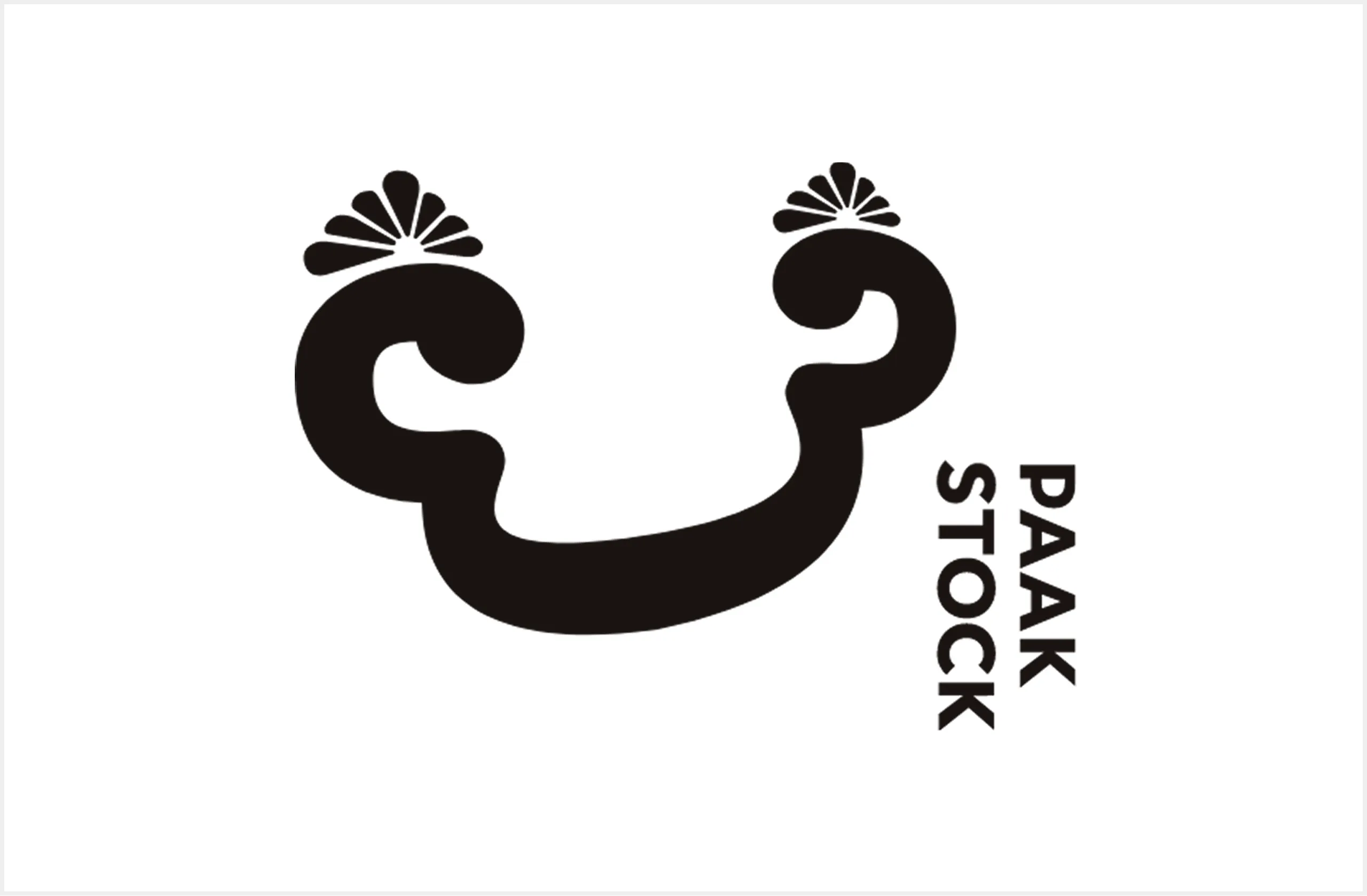 PAAK STOCK